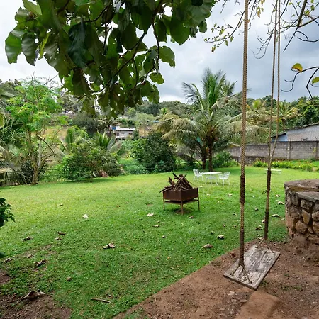 Hotel Treetop-2